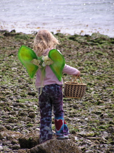 Beach Fairy