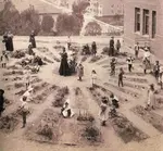 VictSchoolGarden2