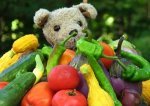 VegetarianPuppy