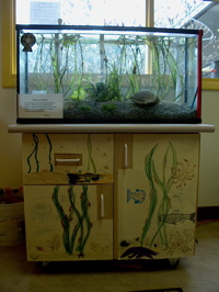 A Seaquarium saltwater aquarium in a school setting