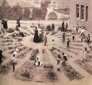 VictSchoolGarden2