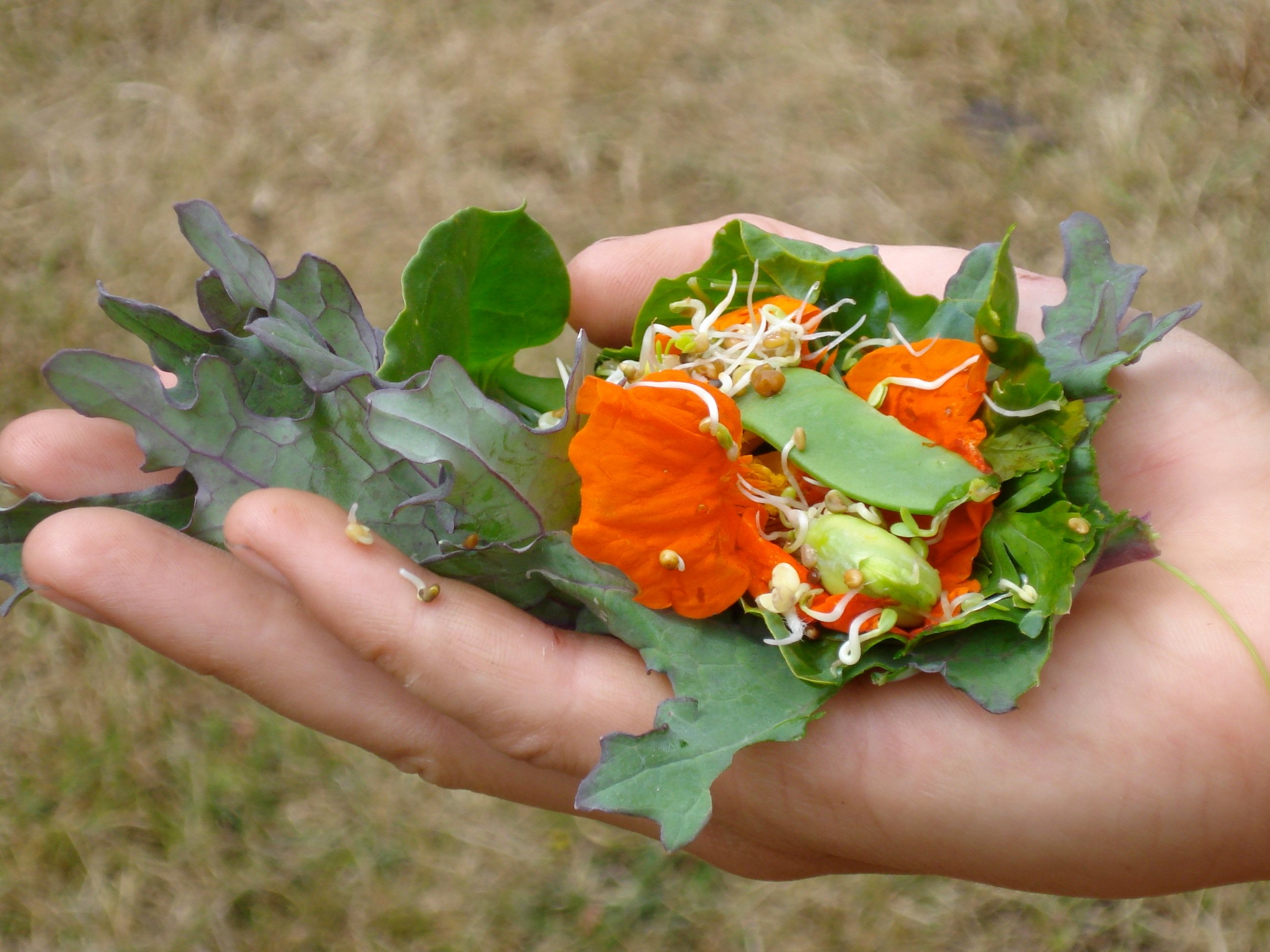 hand salad